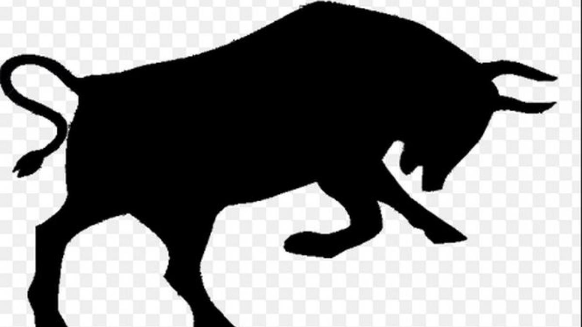 barbat fara pantaloni taur