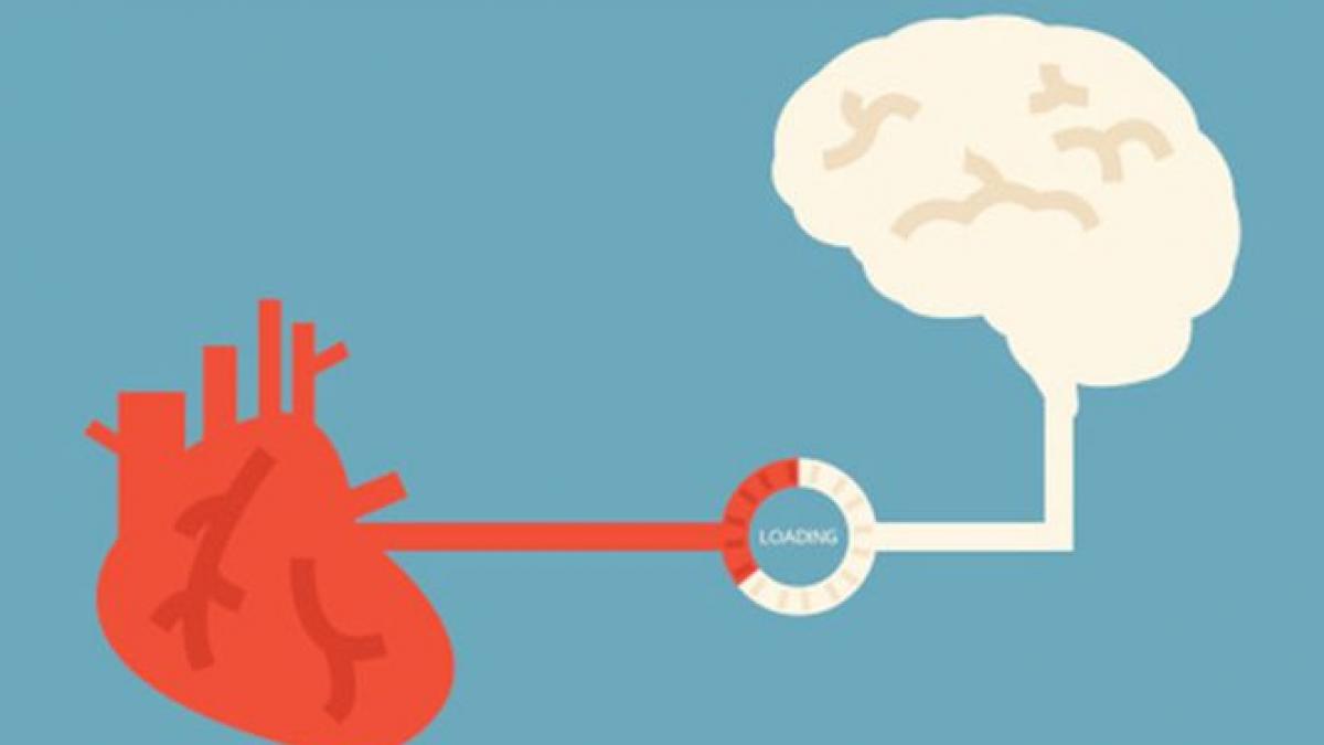 inima neuroni creier