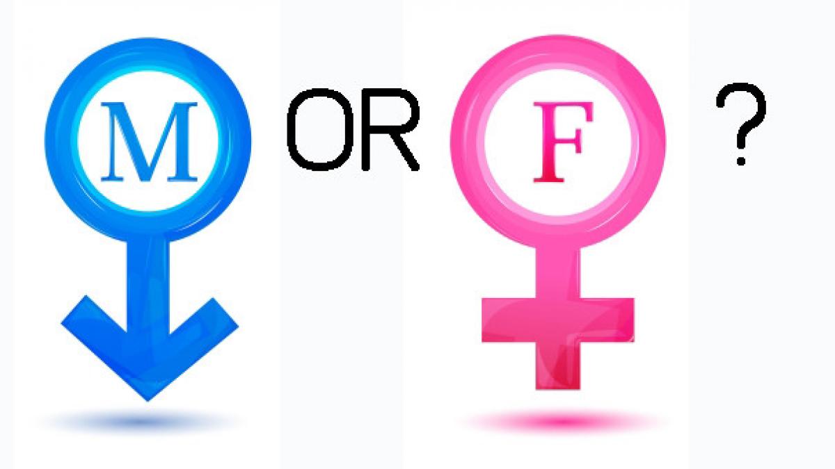 nici femeie nici barbat prima persoana cu sex neutru recunoscuta de o instanta franceza