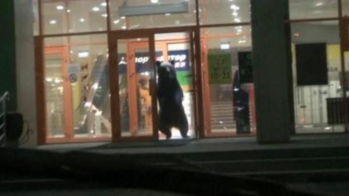 urs rusia mall centru comercial