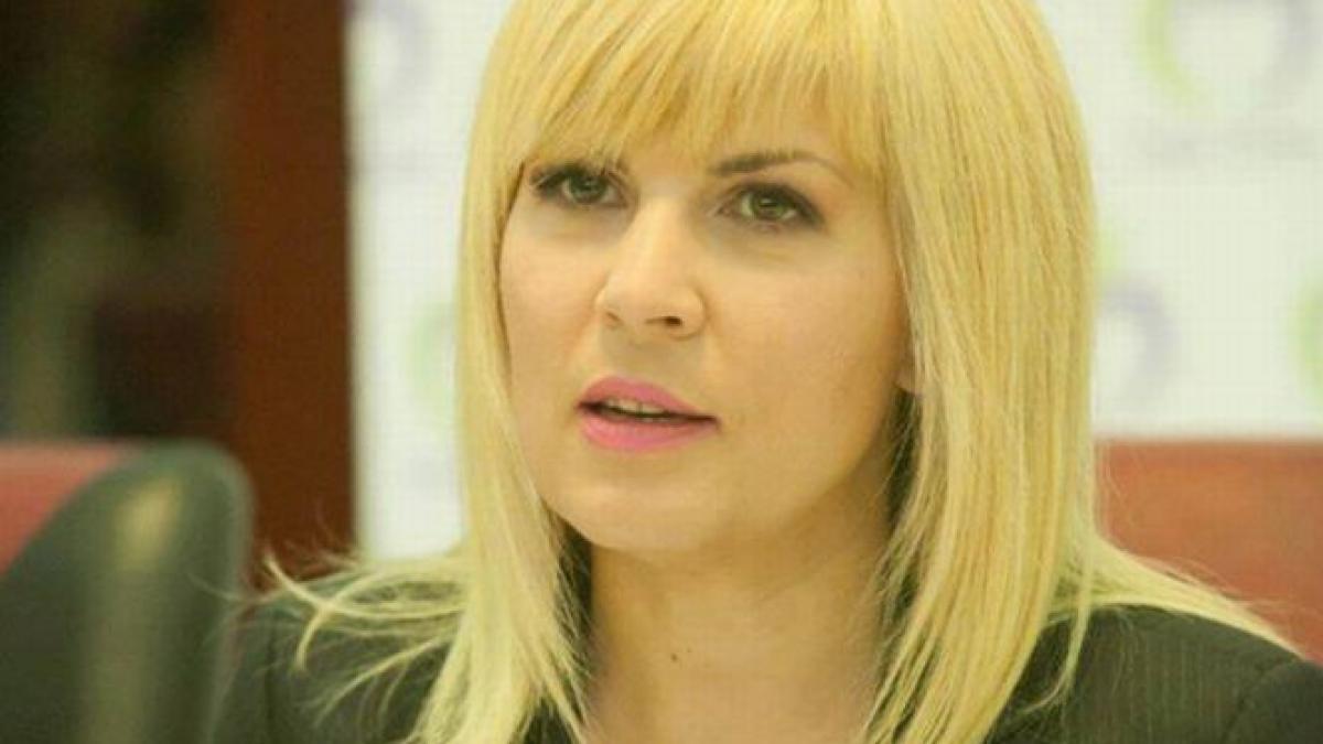 elena udrea declaratii pe facebook despre dosarul gala bute