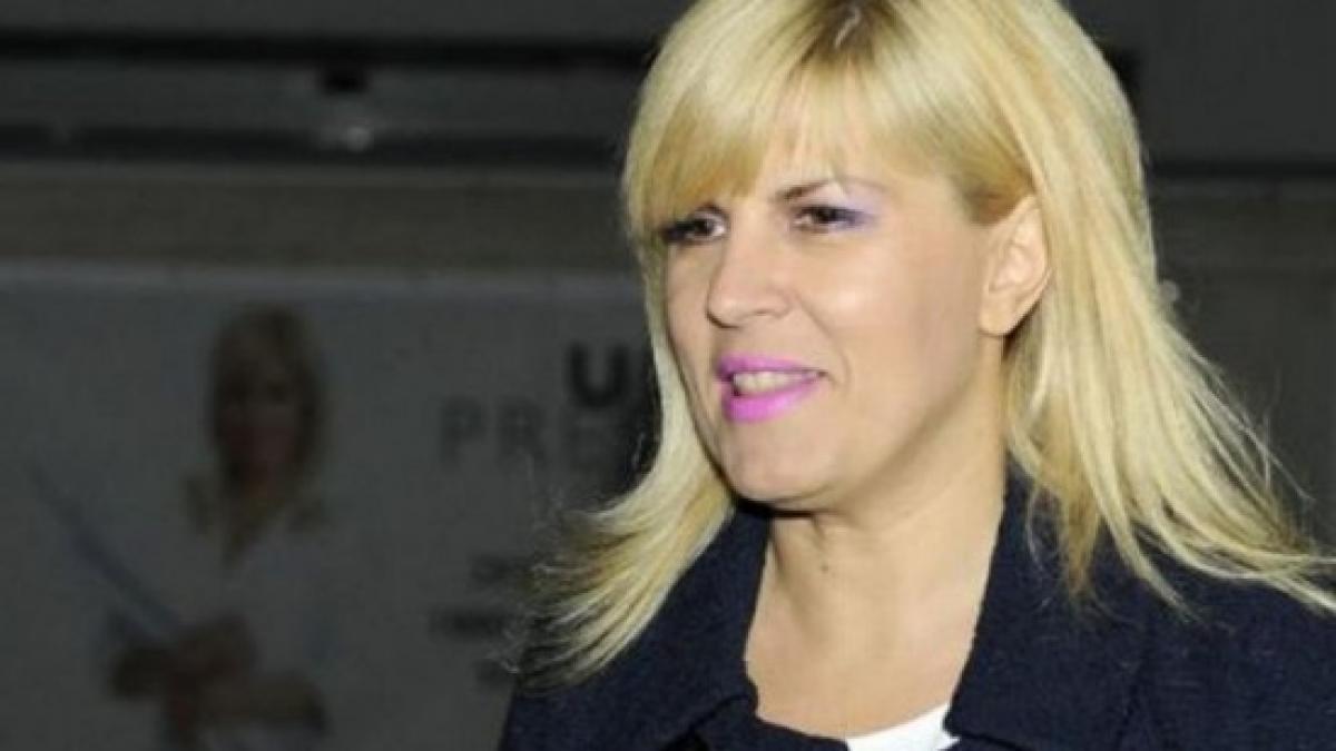 udrea gala bute marturii botoroaga