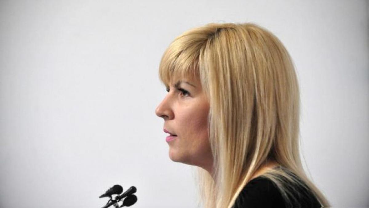 udrea turnata dosare