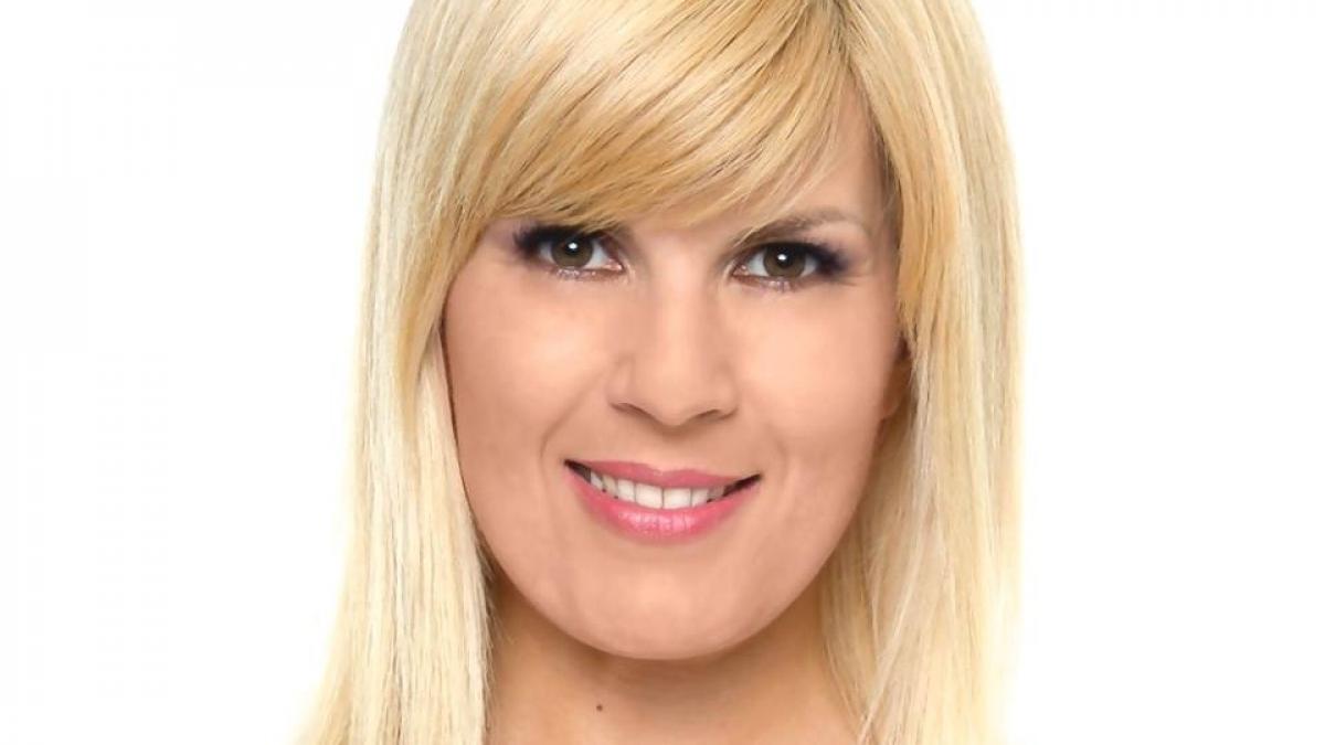 elena udrea ii da dreptate lui victor ponta