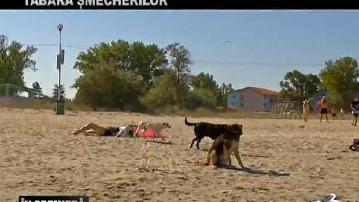 in premiera decaderea taberei tuzla