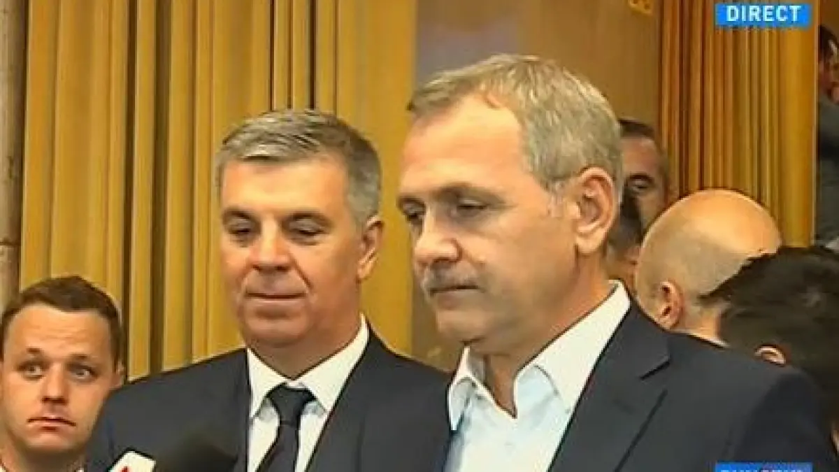liviu dragnea fiecare vicepresedinte trebuie sa vina cu un proiect politic pentru psd