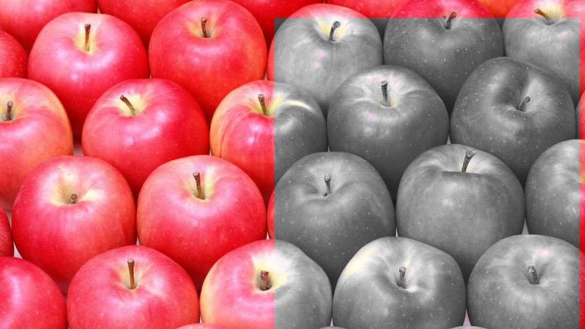 mere din polonia mere romanesti strategia guvernului polonez producatori traditionali magazine