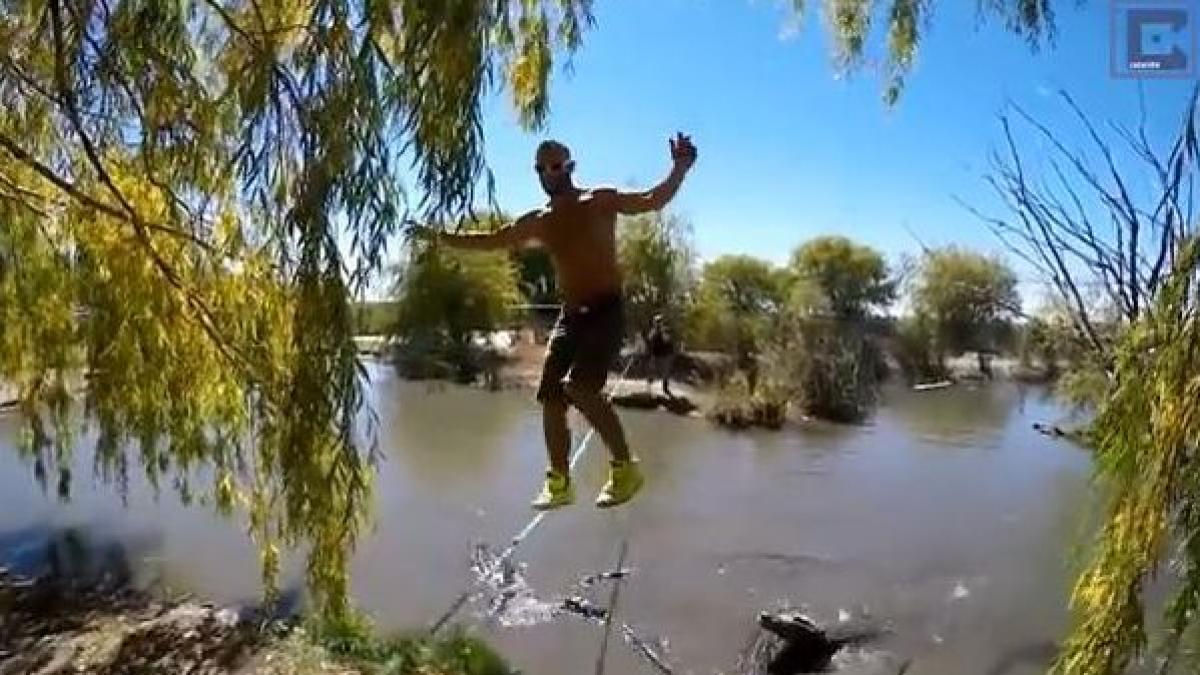 video un tanar traverseaza o cordelina peste zeci de aligatori