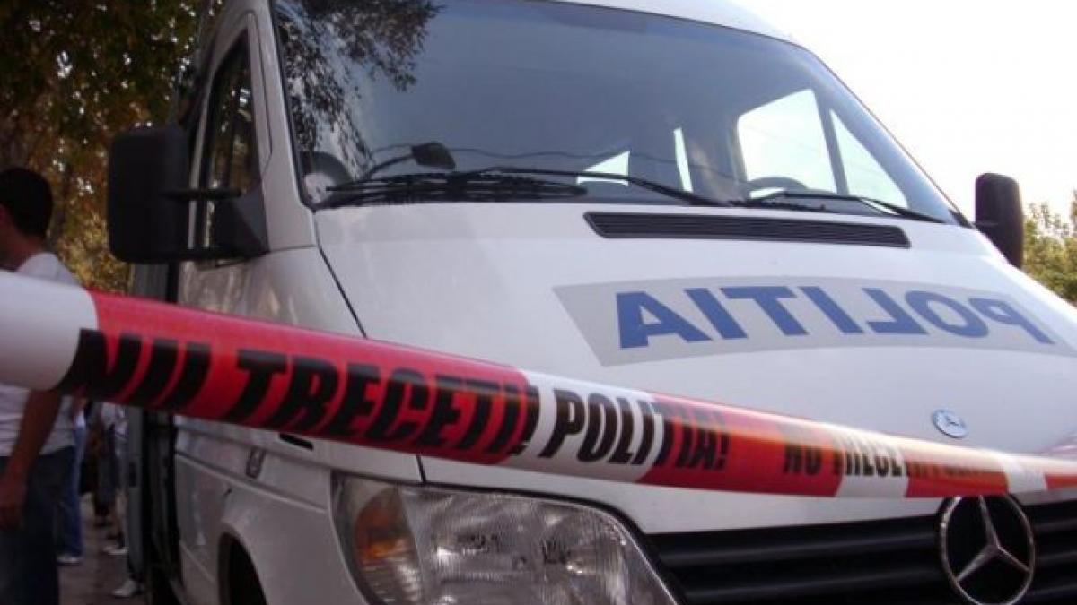 vrancea padure moarta frig