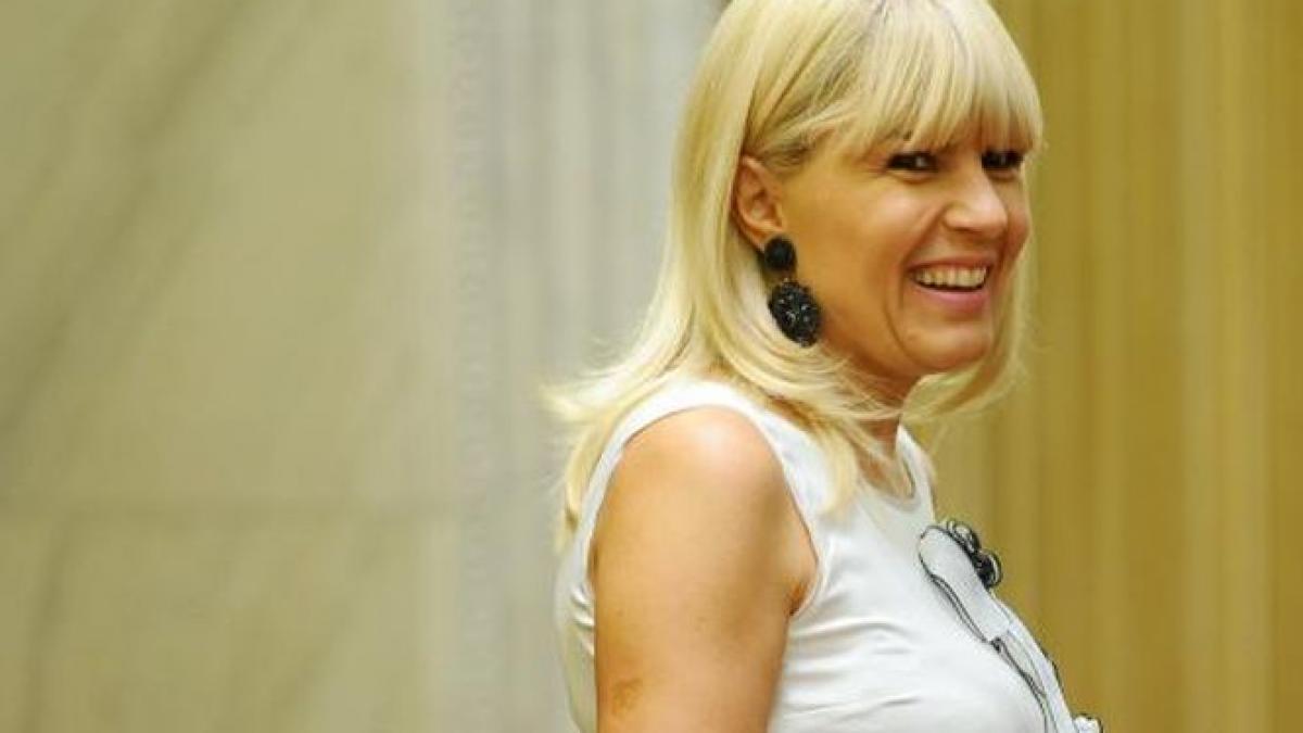 100 de minute cererile dna elena udrea maine dimineata biroul permanent