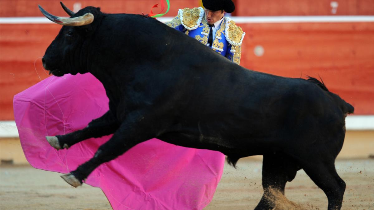 bull charges out of ring and into the crowd in peru video