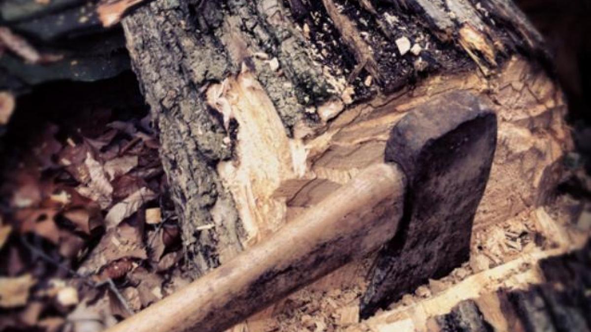 cum li s a taiat din salariu exact celor care urasc taiatul