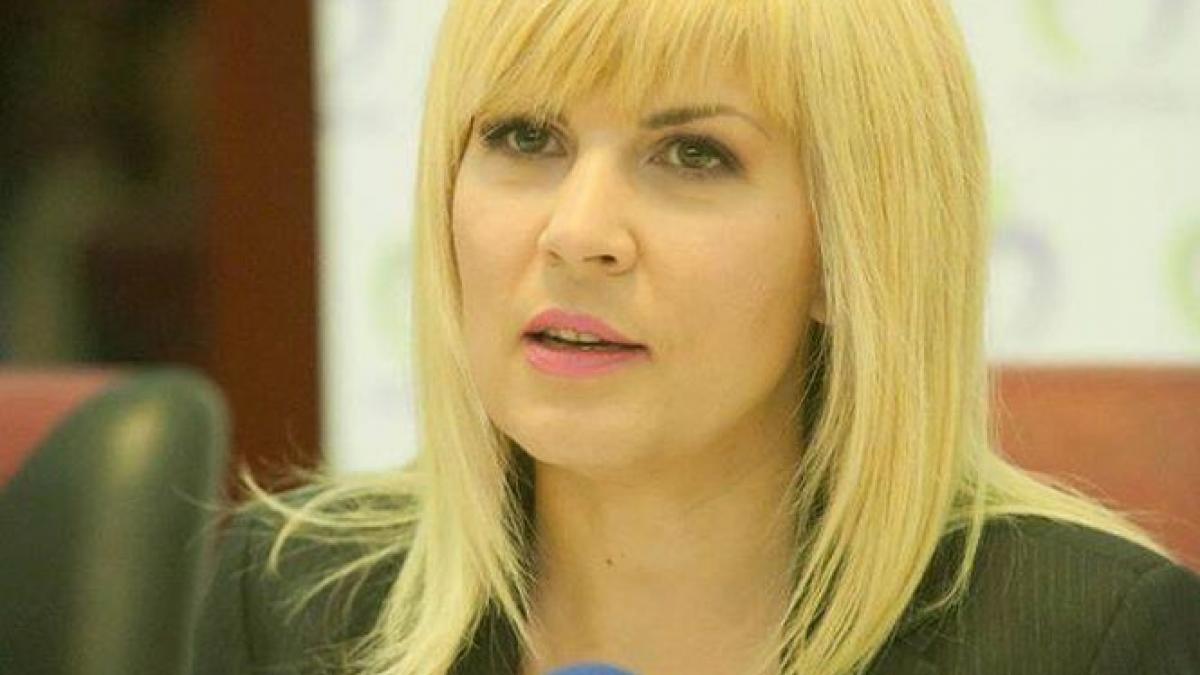 elena udrea mafie