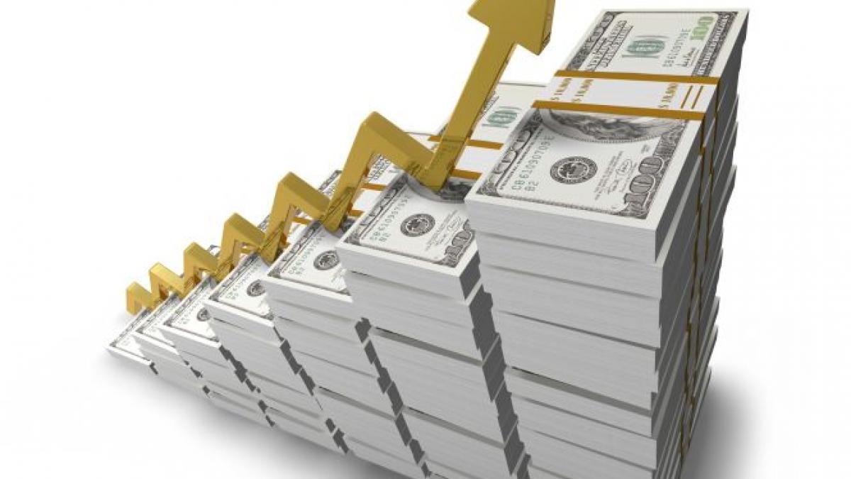 parlamentari bani haine