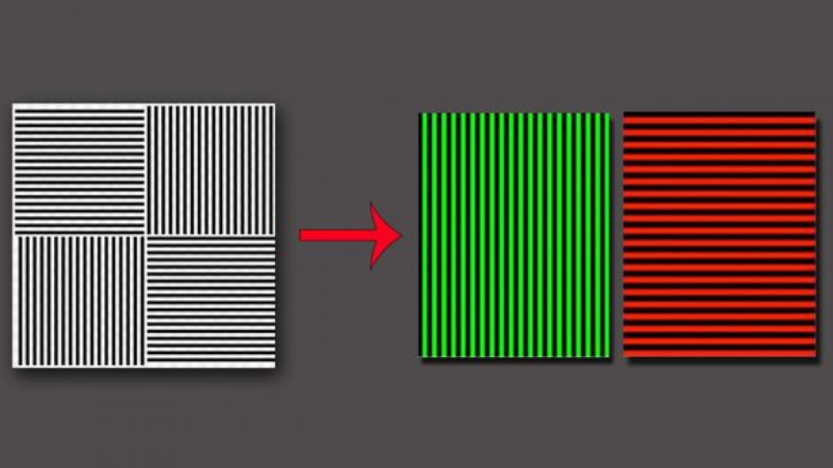 iluzie optica iluzii patrat negru