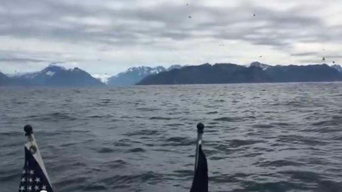 spectacol fabulos oferit de natura ce se intampla la un minut dupa ce incepe sa filmeze