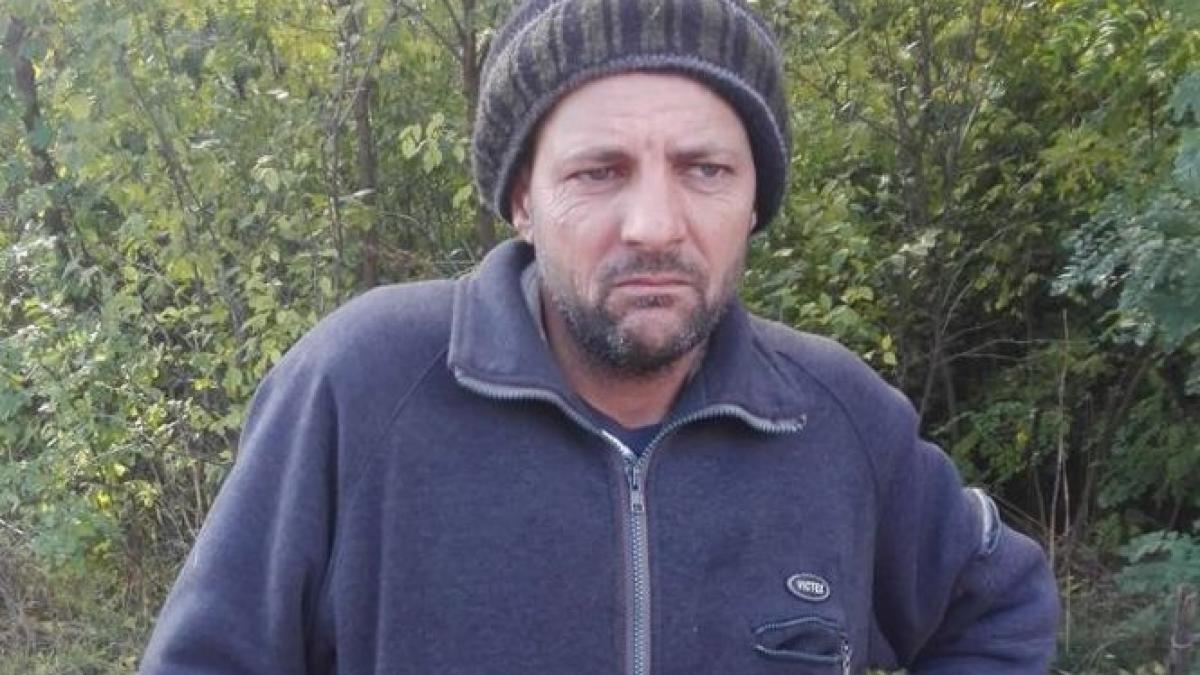 anunt avion padure bere