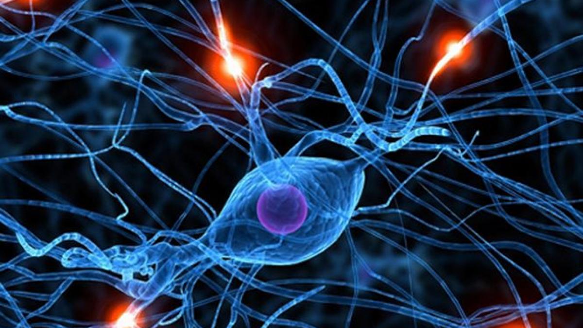 cum pot fi inhibate prejudecatile si credinta in dumnezeu metoda descoperita de oamenii de stiinta