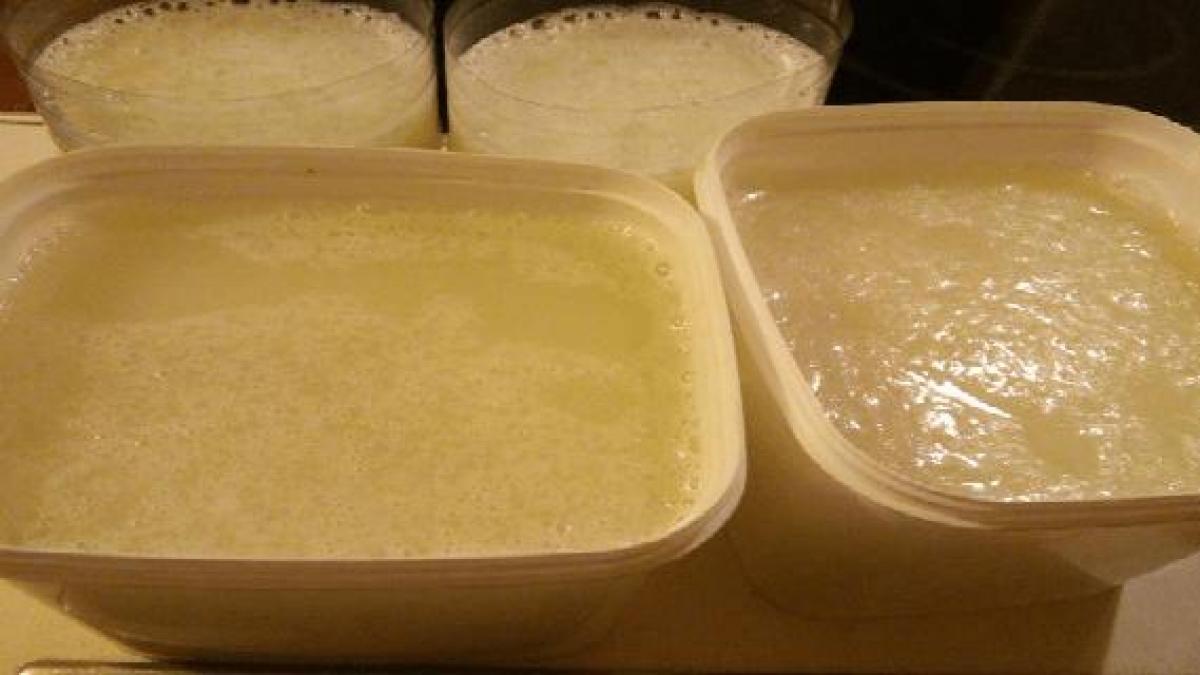 gelatina remediu minune dureri spate incheieturi picioare