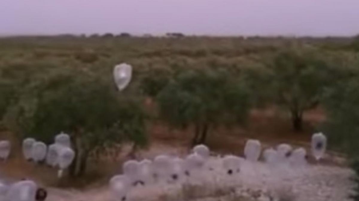 isis foloseste bombe prezervativ pentru distruge avioanele razboi rusesti