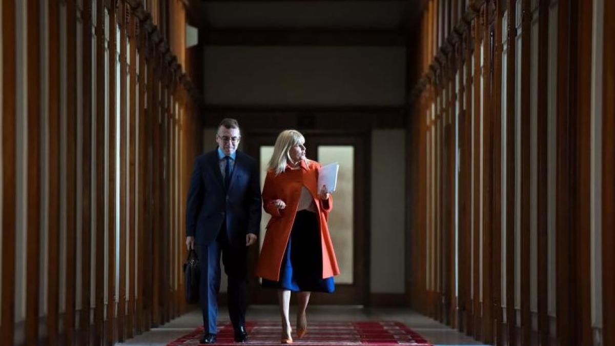 daniel florea 100 de minute psd a votat retinerea si arestarea elenei udrea