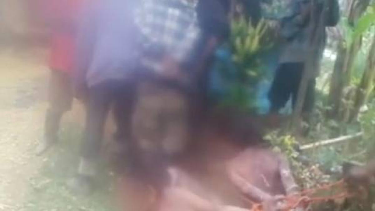 femei torturate imagini socante public