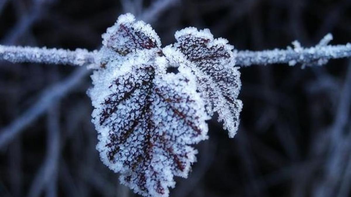 miercurea ciuc temperaturi