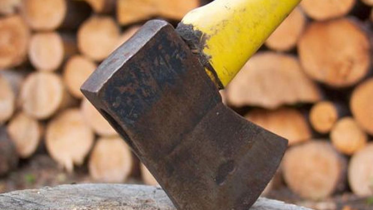 o tanara de 20 de ani a cucerit internetul a spart o remorca de lemne pentru mama ei