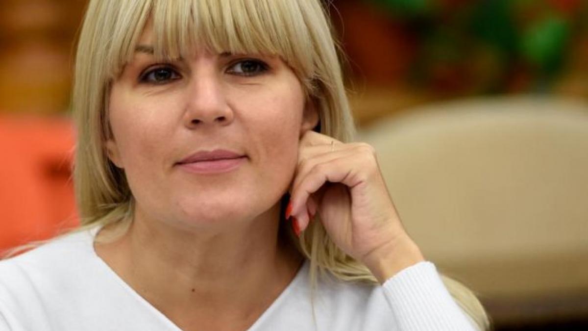 udrea banii s au dus la partid