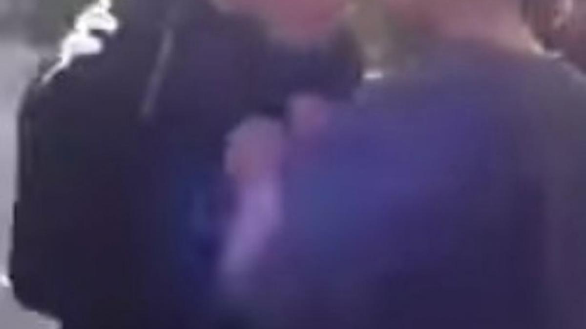 bataus scoala germania