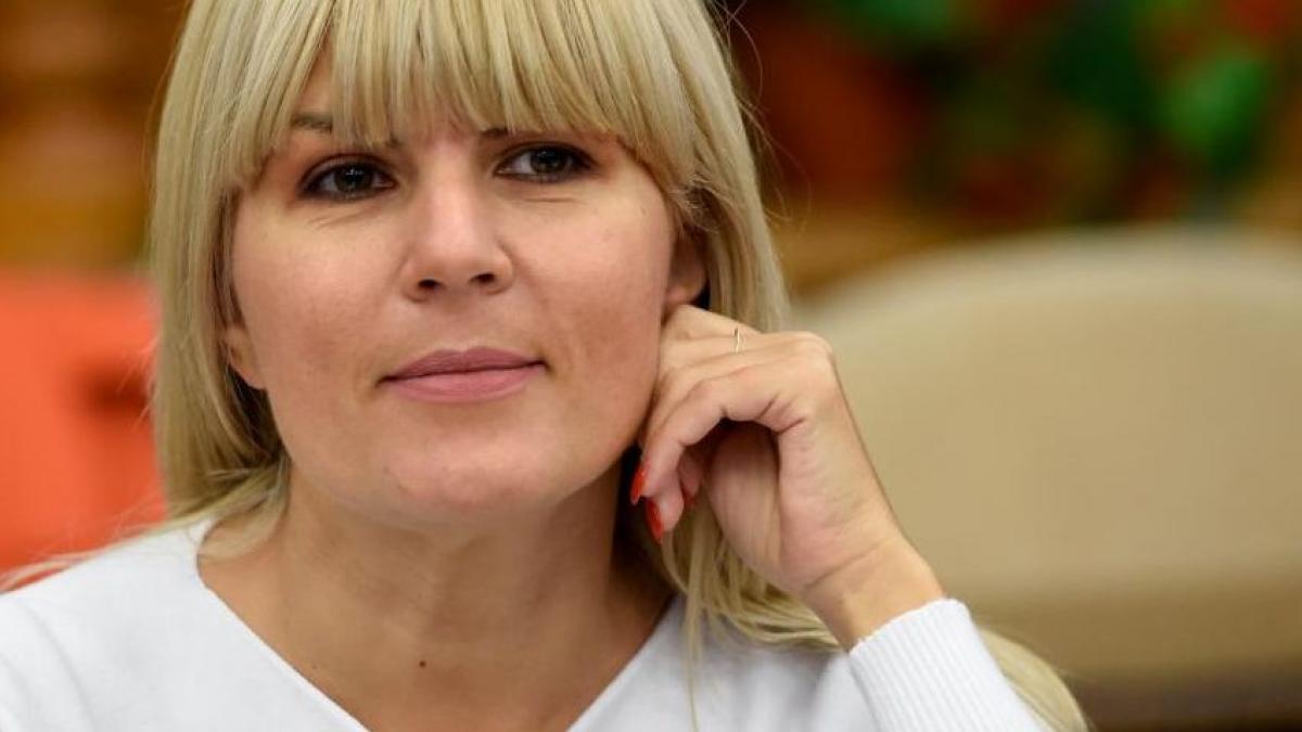 udrea milioane spaga pdl partid