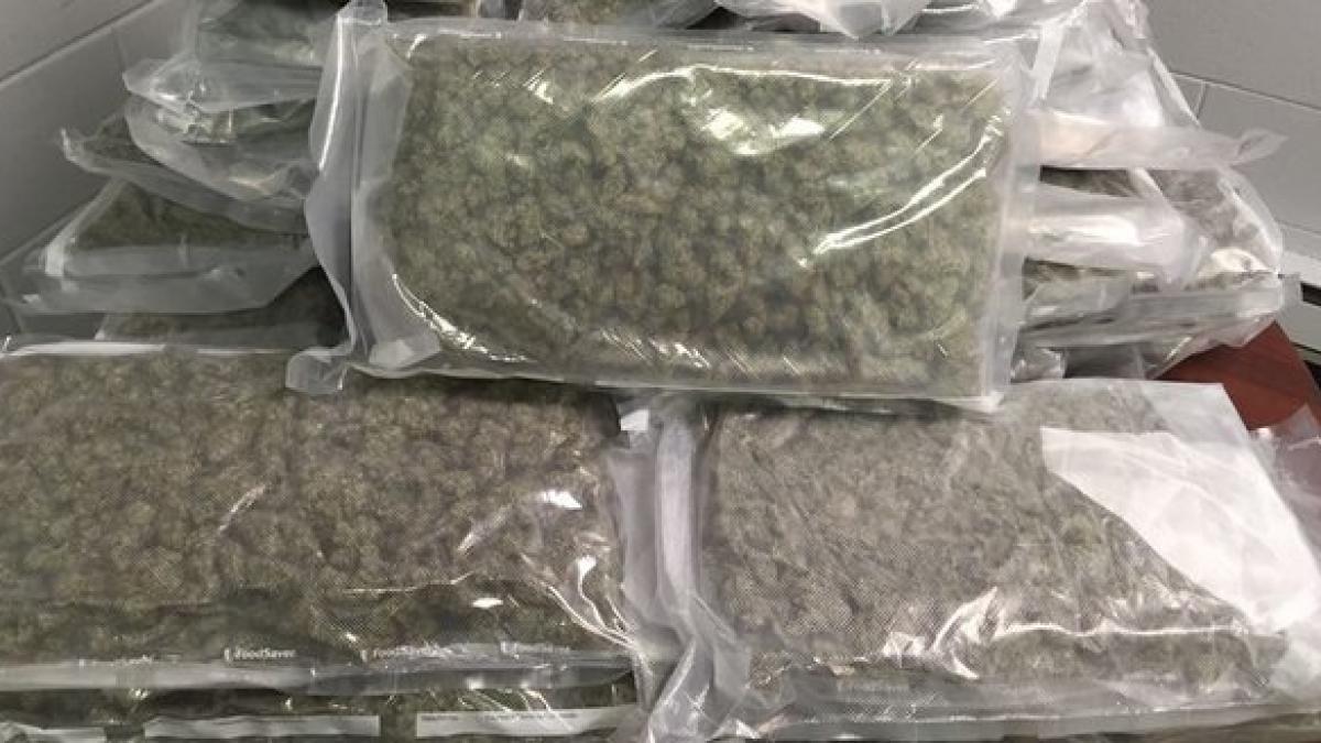 politia din new jersey a gasit 22 de kilograme de marijuana si il asteapta pe proprietar