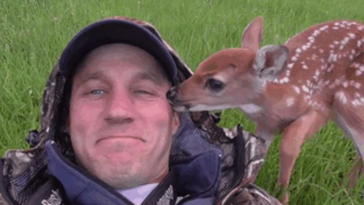 pui de caprioara salvat om darius