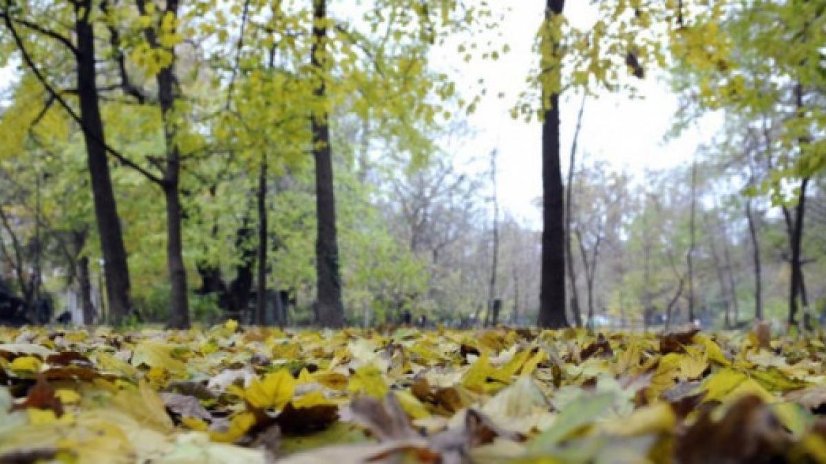 cum va fi vremea de halloween prognoza meteo pentru urmatoarele doua saptamani