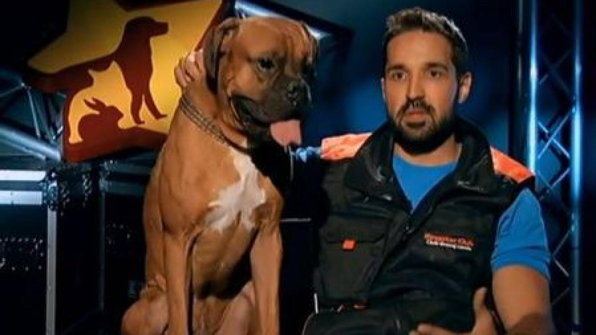 ham talent pepe fata in fata cu fostul amant al oanei zavoranu