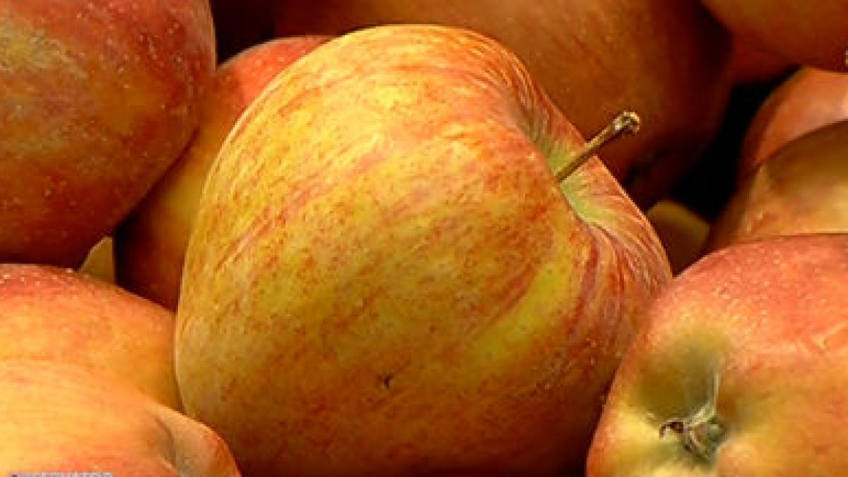 otet de mere proprietati