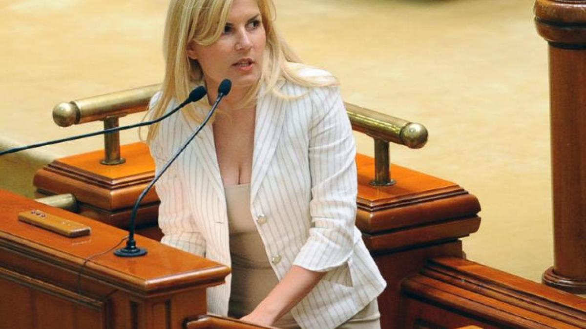 elena udrea dezvaluiri de la tribuna parlamentului
