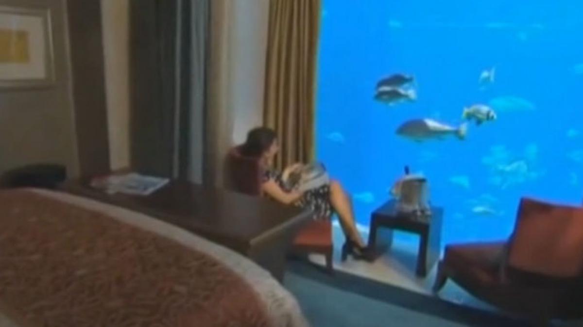 hotel camera de hotel lagonissi