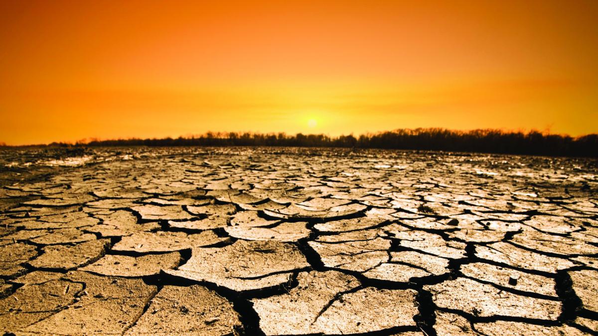 meteorologii avertizeaza temperaturile in zona golfului persic vor depasi limita suportabila pana