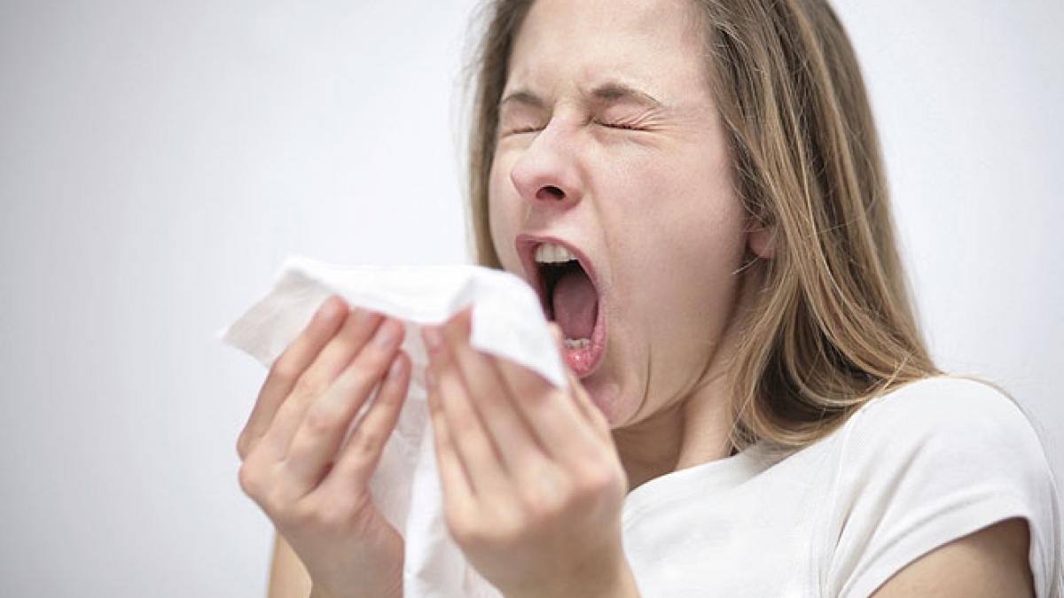 stranut particule bacterii virusuri