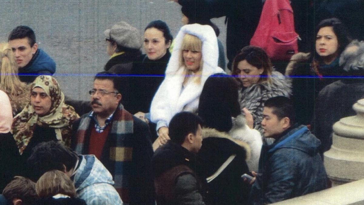 cine a fotografiat o pe elena udrea la paris