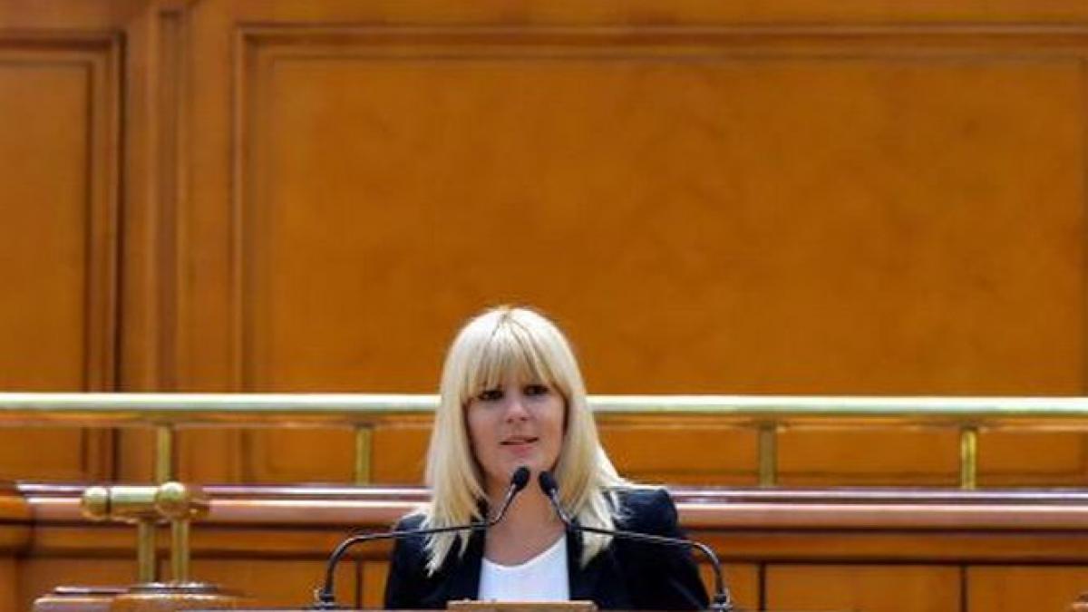 elena udrea declaratii vot parlament