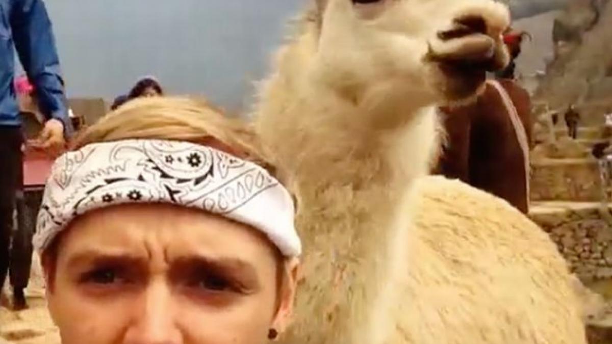 s a trezit din betie si a facut o descoperire crunta a luat apoi o decizie care s a transformat in