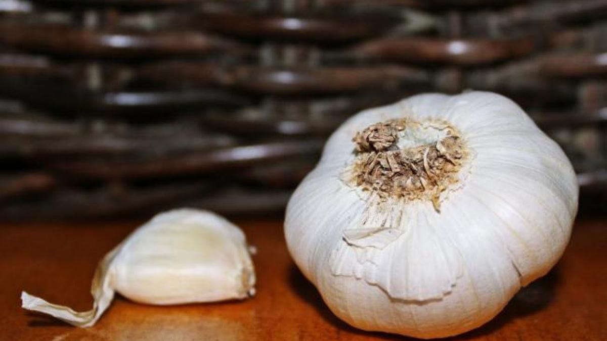 usturoi china pesticide toxic