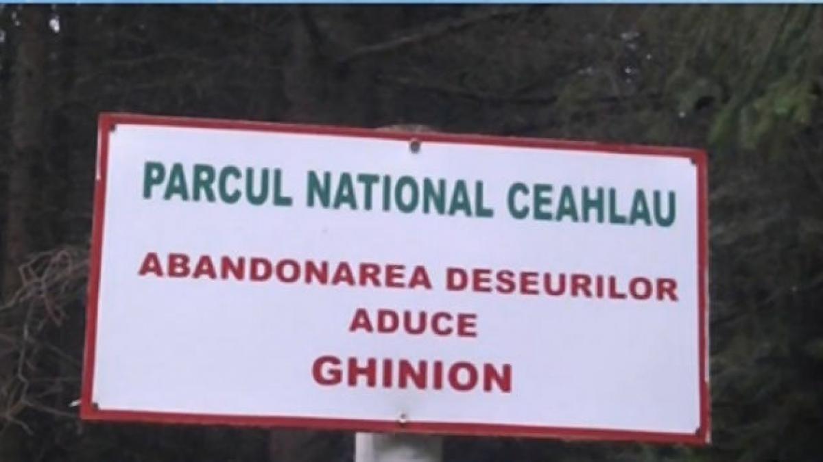 deseuri deziluzia optica