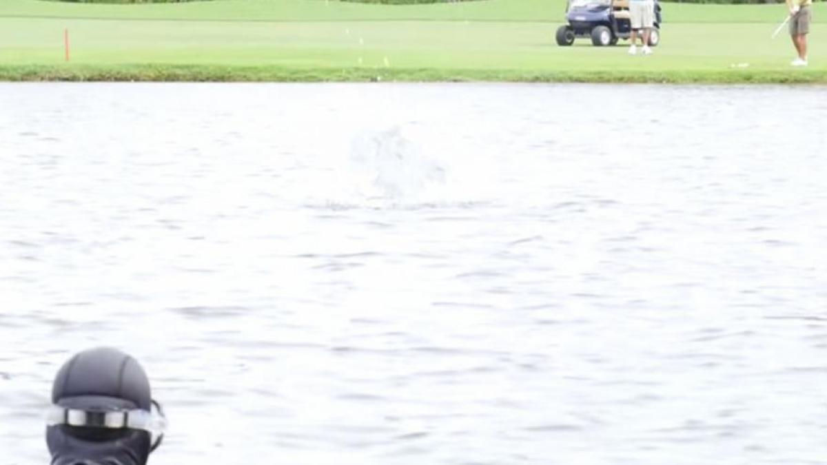 glenn berger avere mingi golf