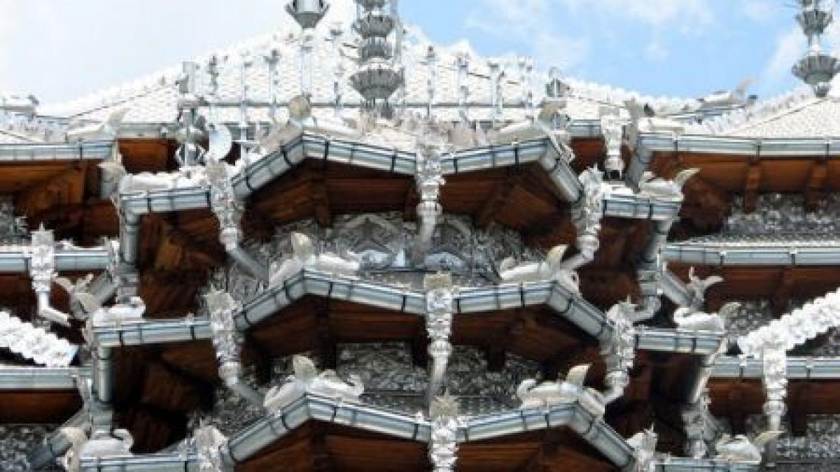 romii cu palate limuzine barbulesti asistati sociali