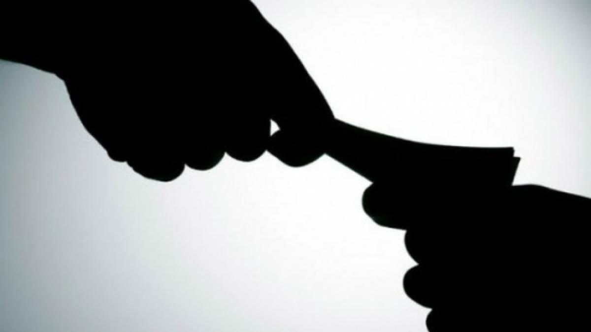 lector universitar ploiesti mita