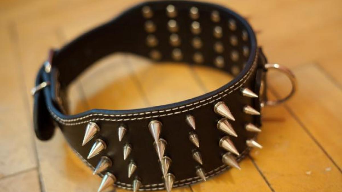 stapan si caine condamnati in acelasi dosar