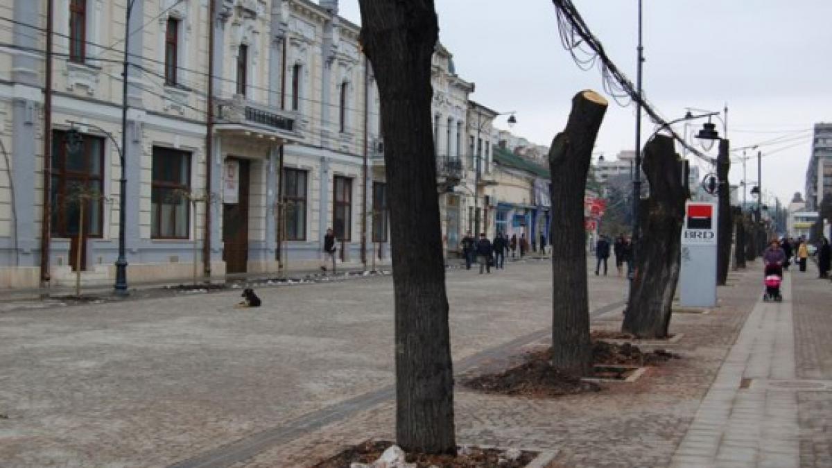 tei iasi bulevardul stefan cel mare